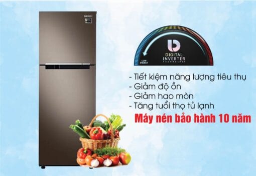 Tủ lạnh Samsung inverter 243 lít RT22M4040DX/SV