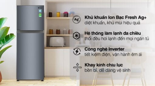 Tủ lạnh Casper 238 lít inverter RT-250VD